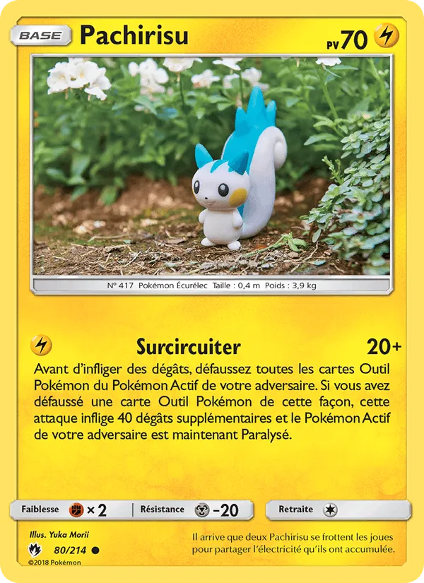 Pachirisu · Tonnerre Perdu 80/214
