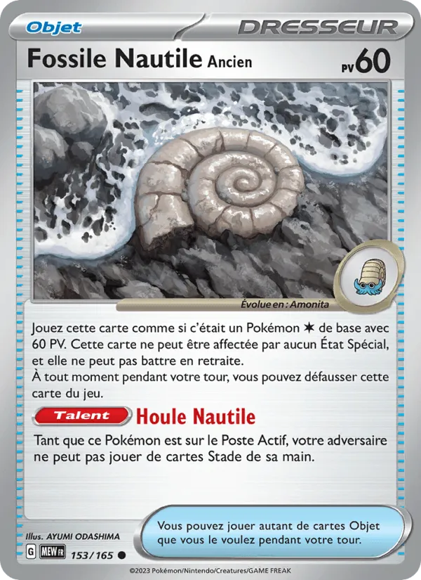 Fossile Nautile Ancien · 151 153/165