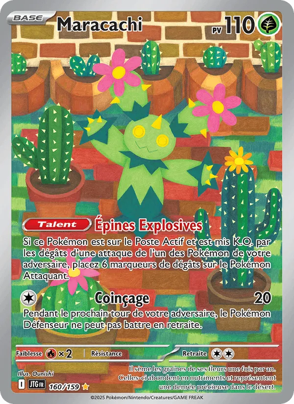 Maracachi · Aventures Ensemble 160/159
