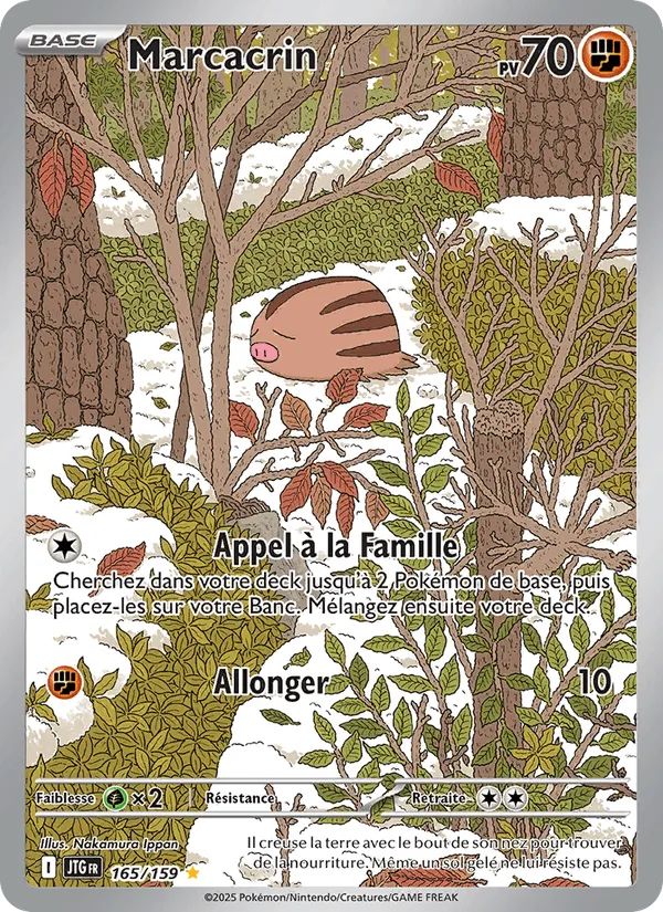 Marcacrin · Aventures Ensemble 165/159
