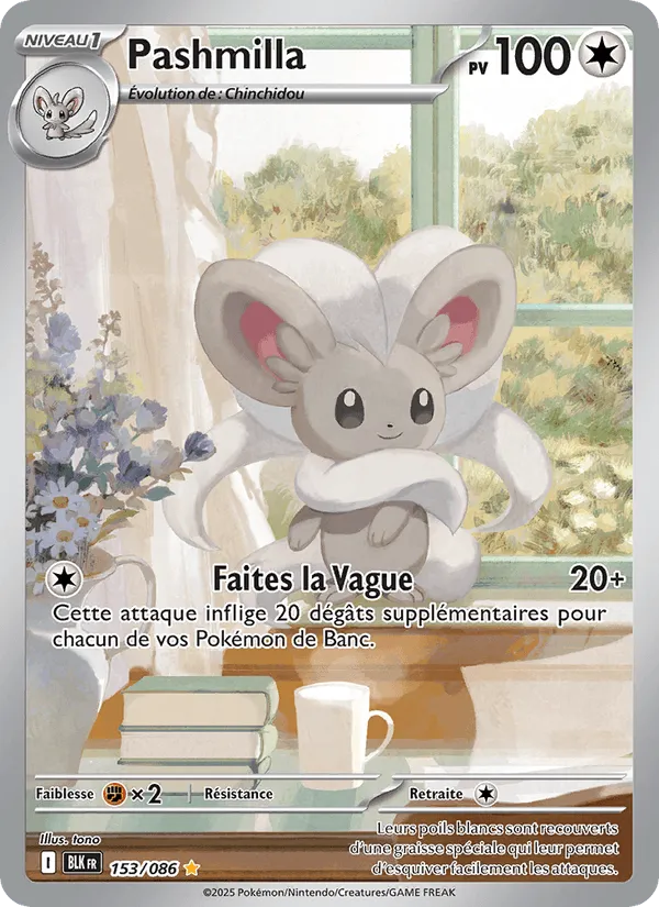 Pashmilla · Foudre Noire 153/86
