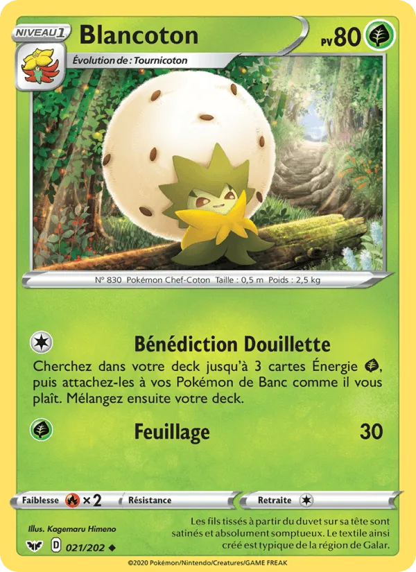 Blancoton · Épée et Bouclier 21/202