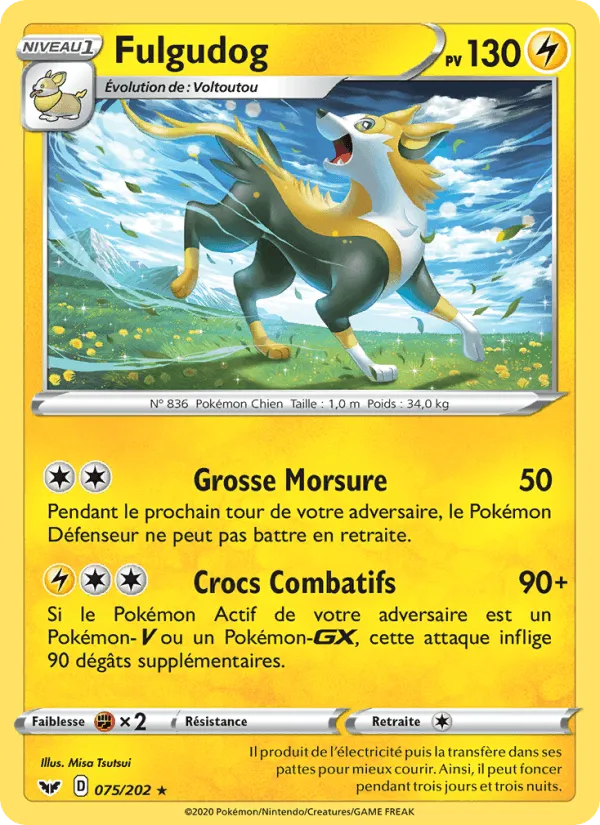 Fulgudog · Épée et Bouclier 75/202
