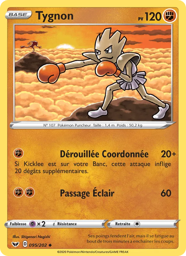 Tygnon · Épée et Bouclier 95/202