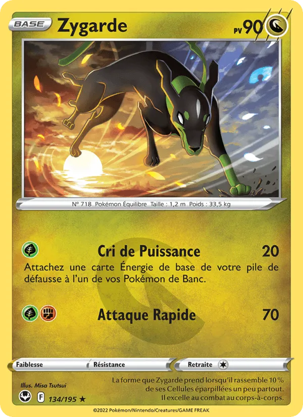 Zygarde · Tempête Argentée 134/195