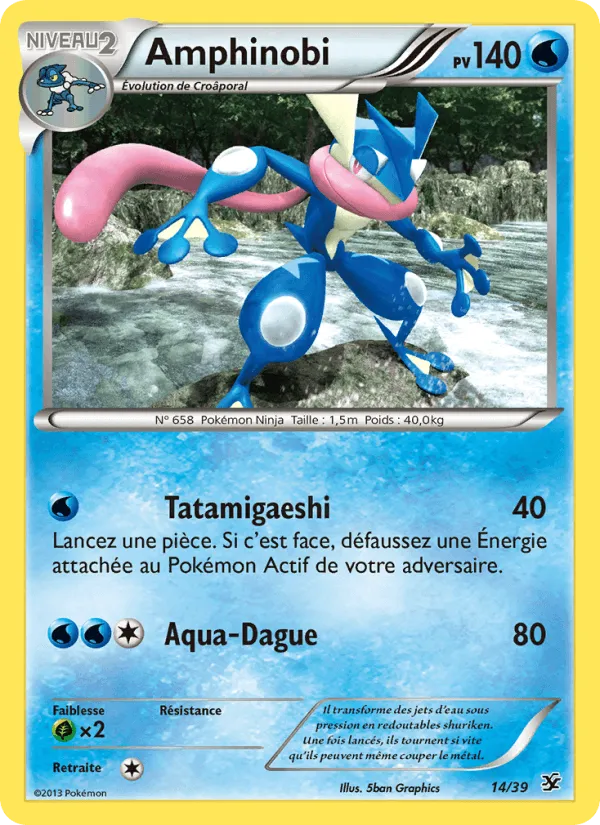 Amphinobi · Bienvenue à Kalos 14/39