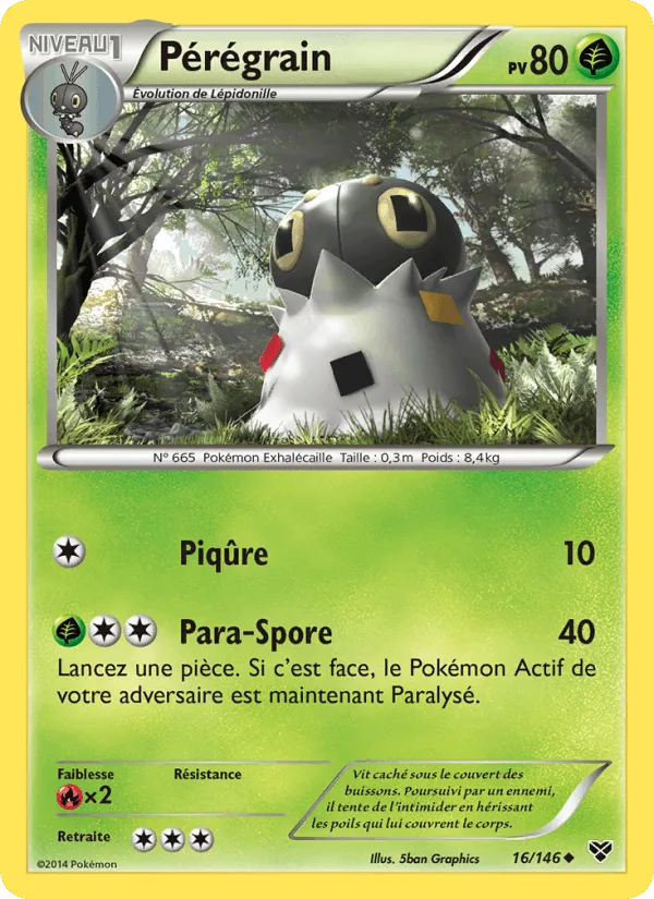 Pérégrain · XY 16/146