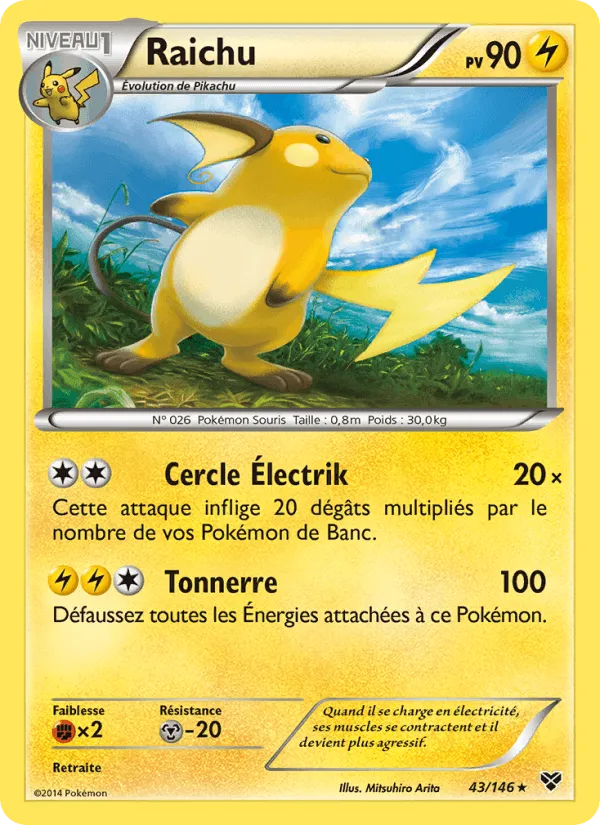 Raichu · XY 43/146