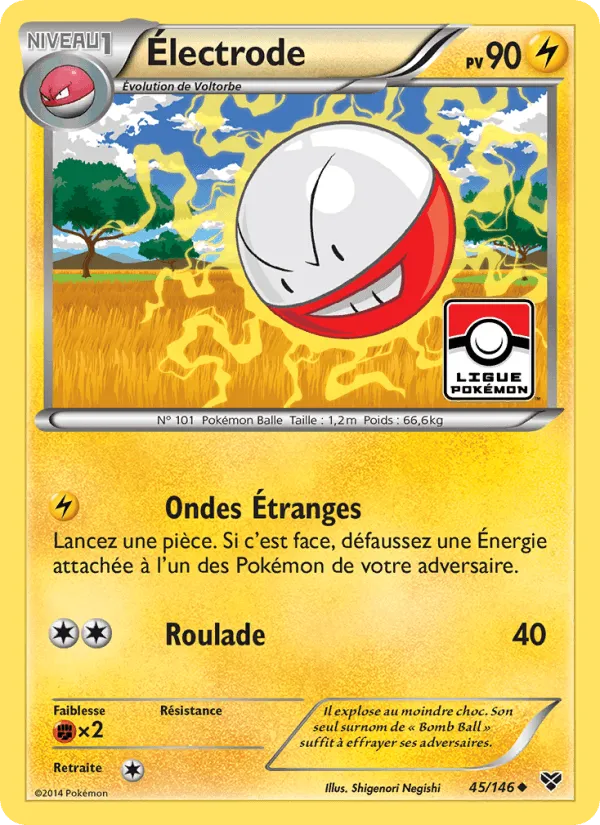 Électrode · XY 45/146