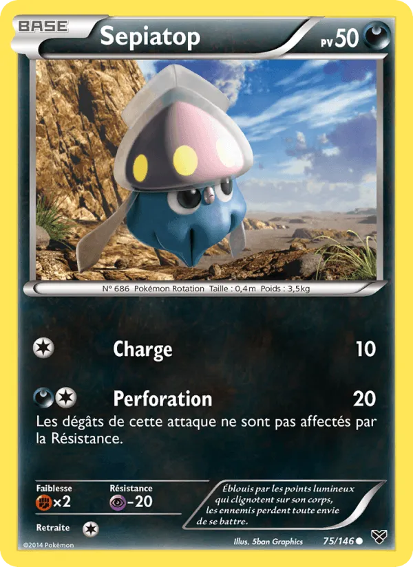 Sepiatop · XY 75/146