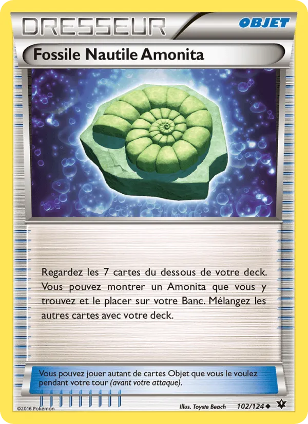 Fossile Nautile Amonita · Impact des Destins 102/124