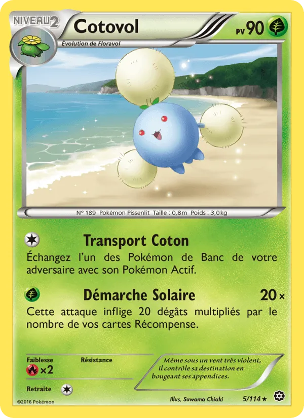 Cotovol · Offensive Vapeur 5/114