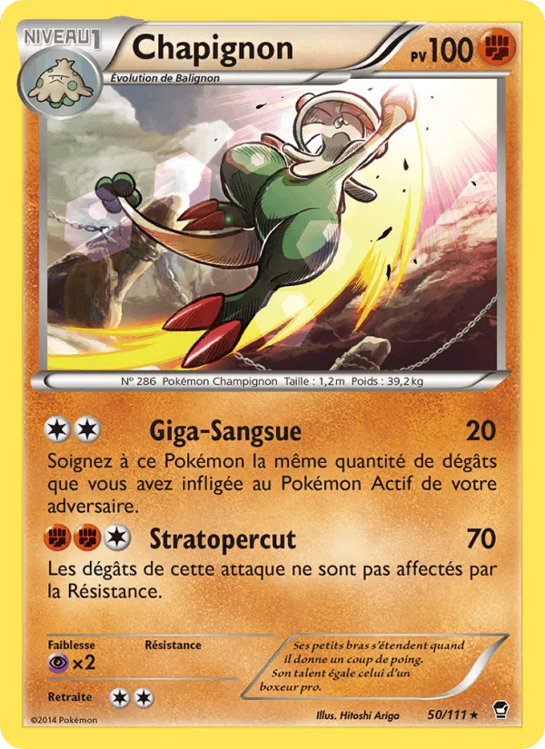 Chapignon · Poings Furieux 50/111