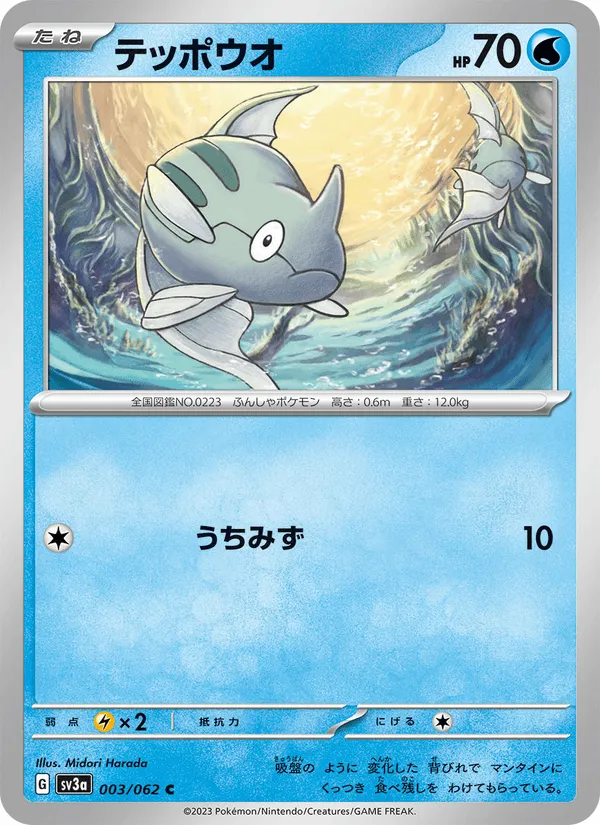テッポウオ · レイジングサーフ 003/62