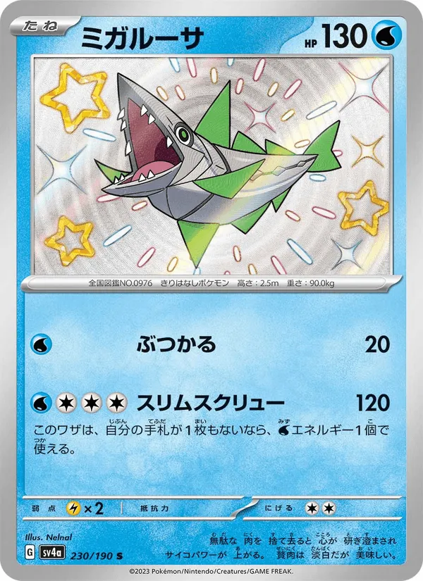 ミガルーサ · レイジングサーフ 230/190