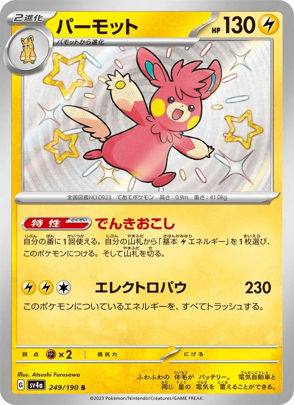 パーモット · レイジングサーフ 249/190