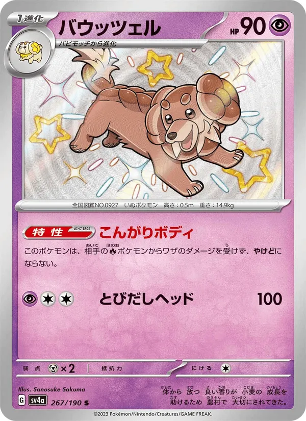 バウッツェル · レイジングサーフ 267/190