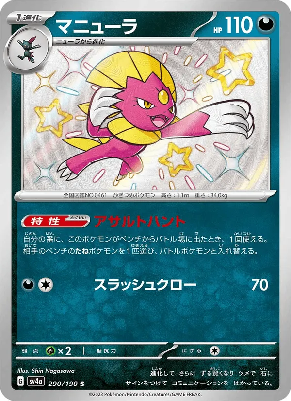 マニューラ · レイジングサーフ 290/190