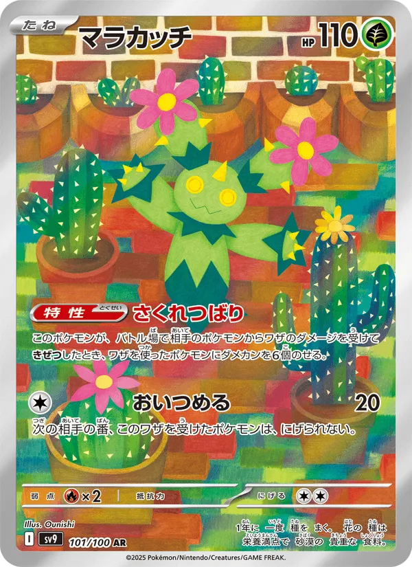 マラカッチ · バトルパートナーズ 101/100