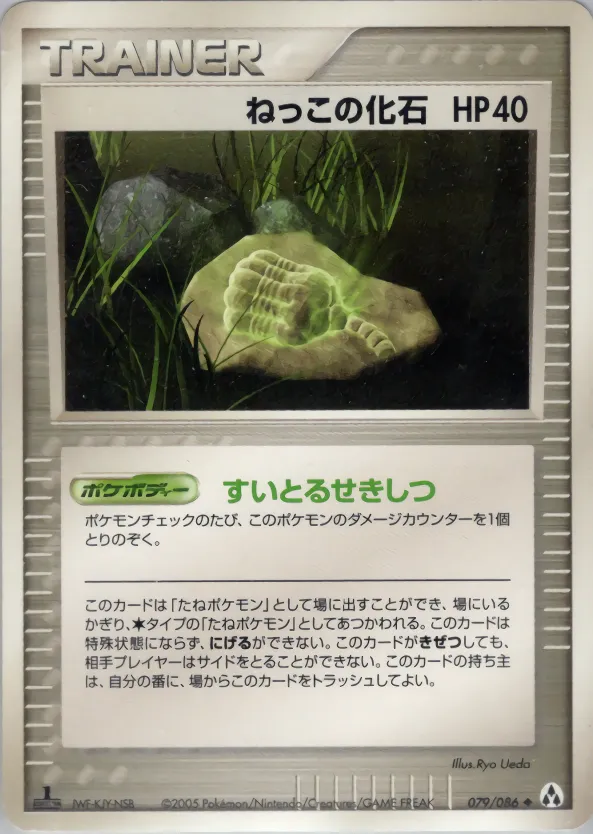 根の化石 · まぼろしの森 079/86