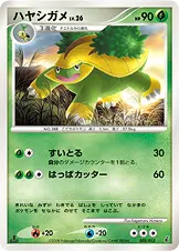 ハヤシガメ · DPt エントリーパック 002/45
