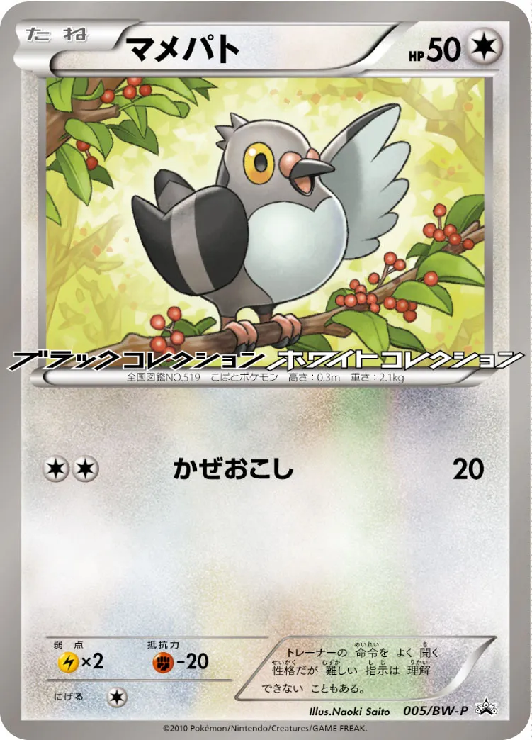 マメパト · BW-P プロモ 005/100