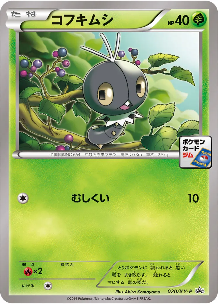 コフキムシ · XY Promos 020/100