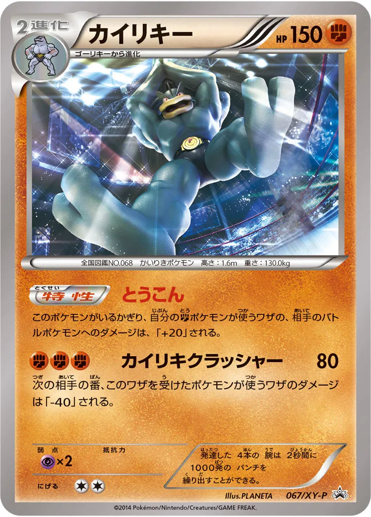 カイリキー · XY Promos 067/100