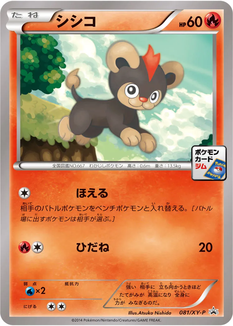 シシコ · XY Promos 081/100