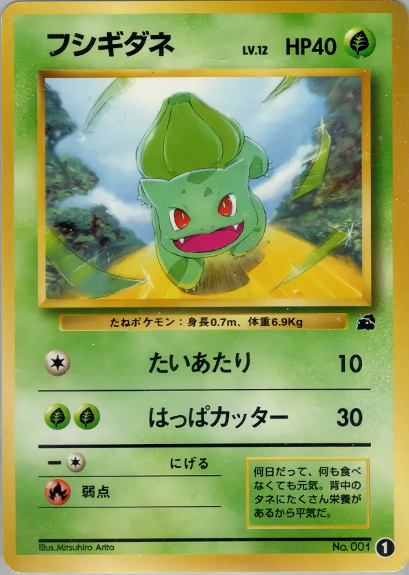 フシギダネ · Intro Pack 1/81