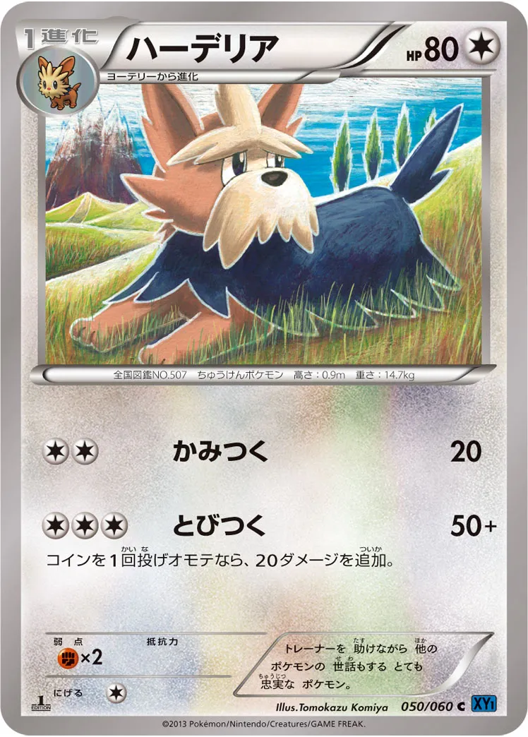 ハーデリア · コレクションX 050/60