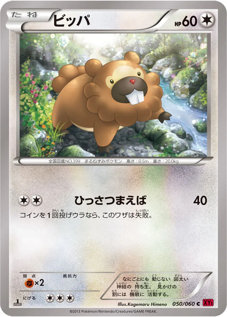 ビッパ · コレクションY 050/60