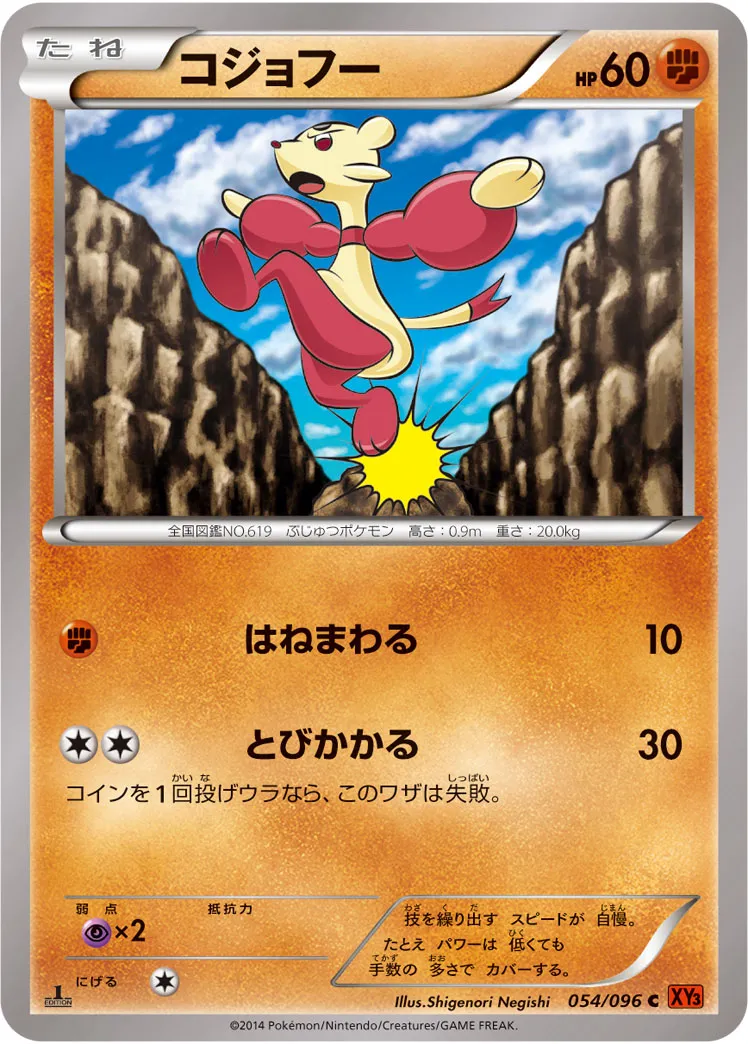 コジョフー · ライジングフィスト 054/96