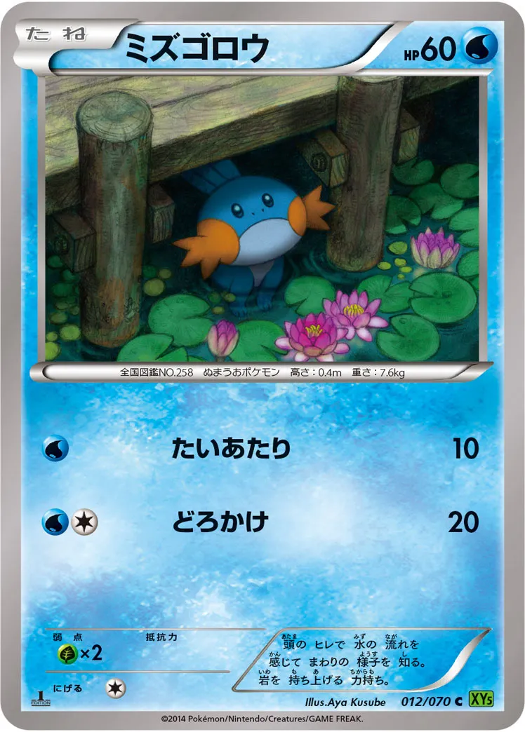 ミズゴロウ · タイダルストーム 012/70