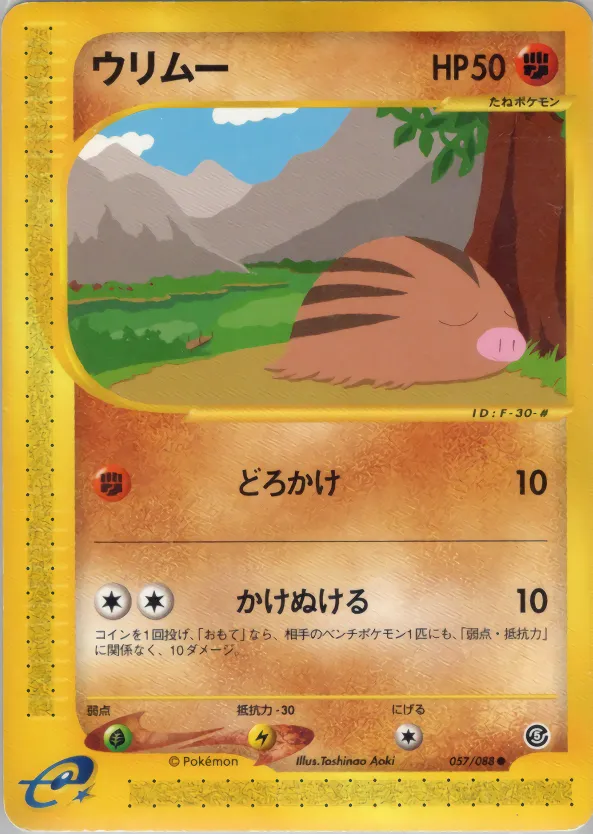 swinub · 神秘なる山 057/88