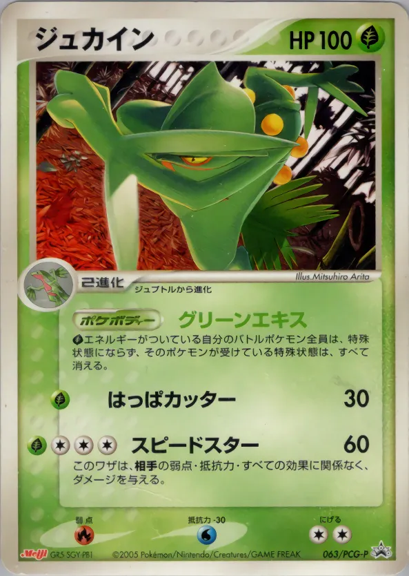 ジュカイン · PCG Promotional Cards 063/100