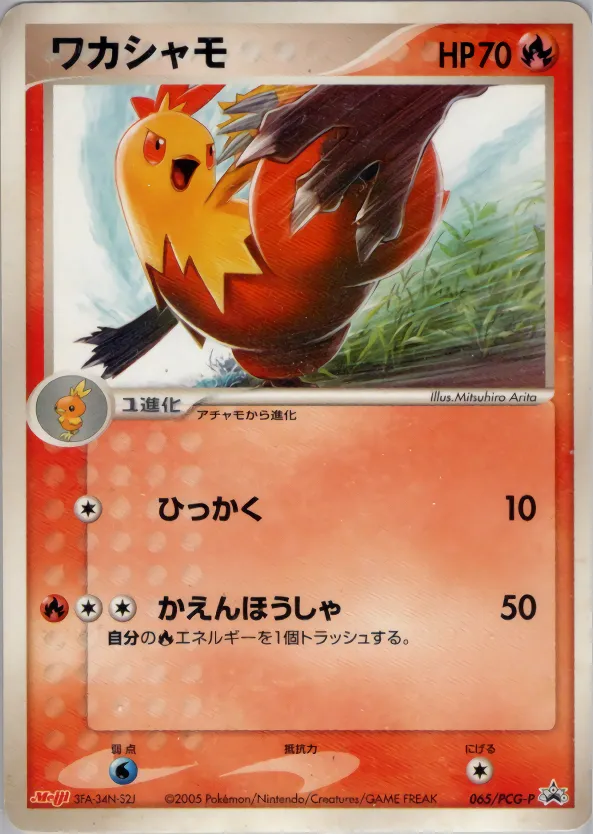 ワカシャモ · PCG Promotional Cards 065/100