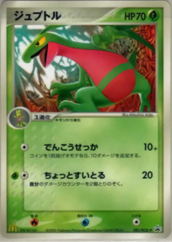 ジュプトル · PCG Promotional Cards 081/100