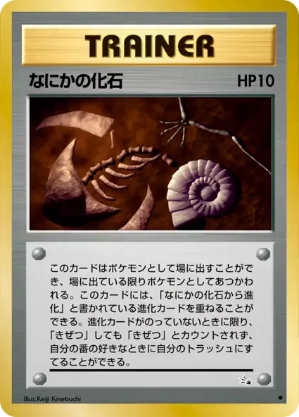 なにかの化石 · 化石の秘密 046/48