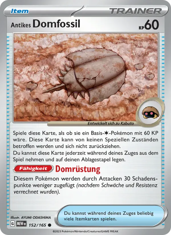 Antikes Domfossil · 151 152/165