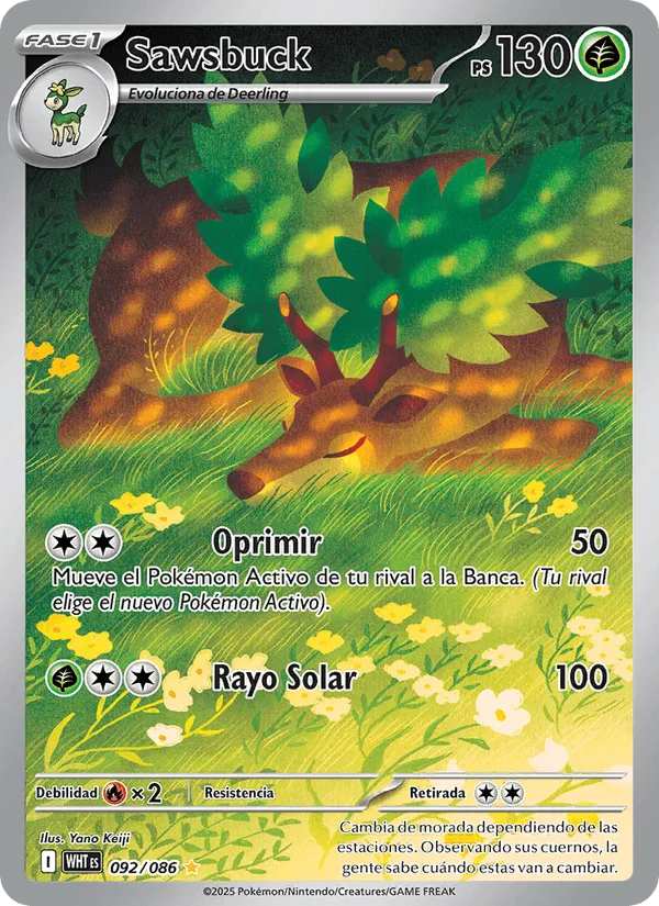 Sawsbuck · Llama Blanca 092/86