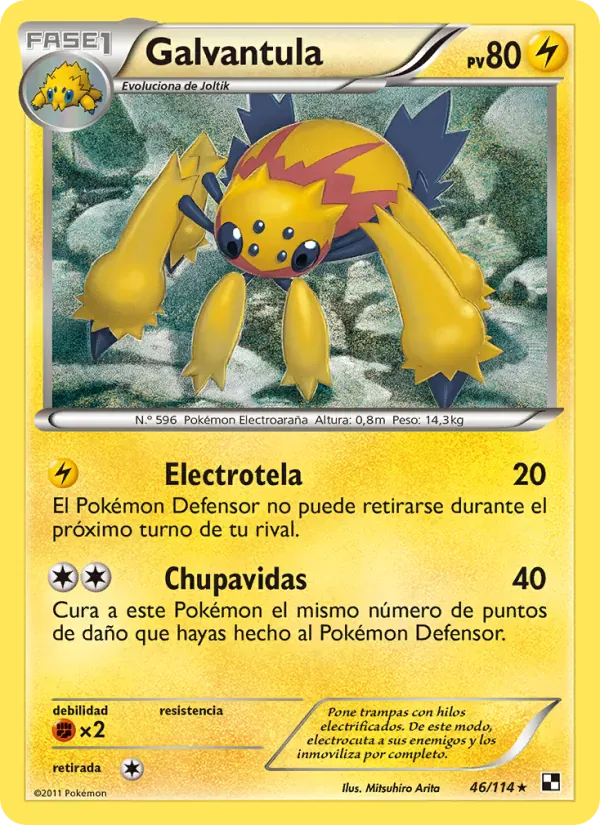 Galvantula · Negro y Blanco 46/114