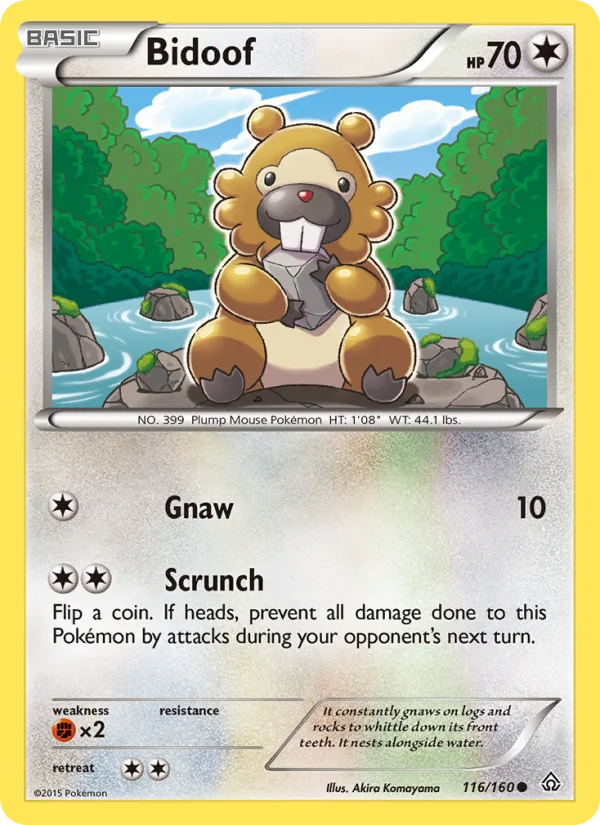 Bidoof · Primal Clash 116/160