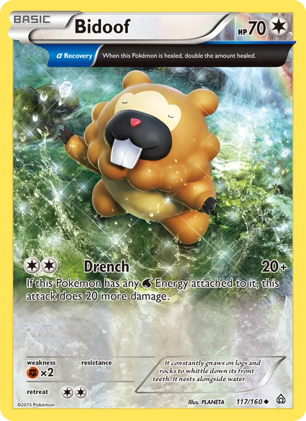Bidoof · Primal Clash 117/160