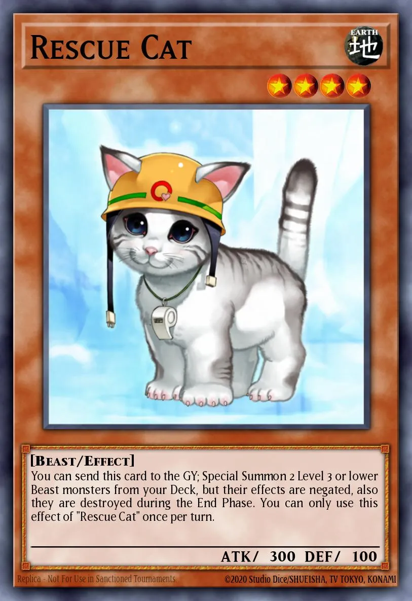 Rescue Cat · Flaming Eternity 14878871/60