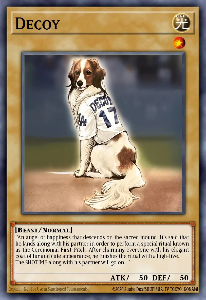 Decoy · Yu-Gi-Oh (No Set) 20240828