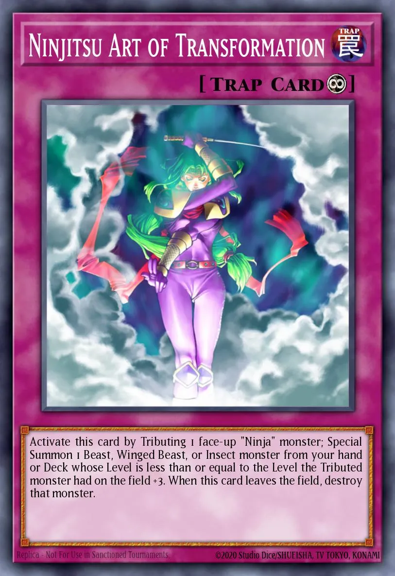 Ninjitsu Art of Transformation · Ancient Sanctuary 70861343/112