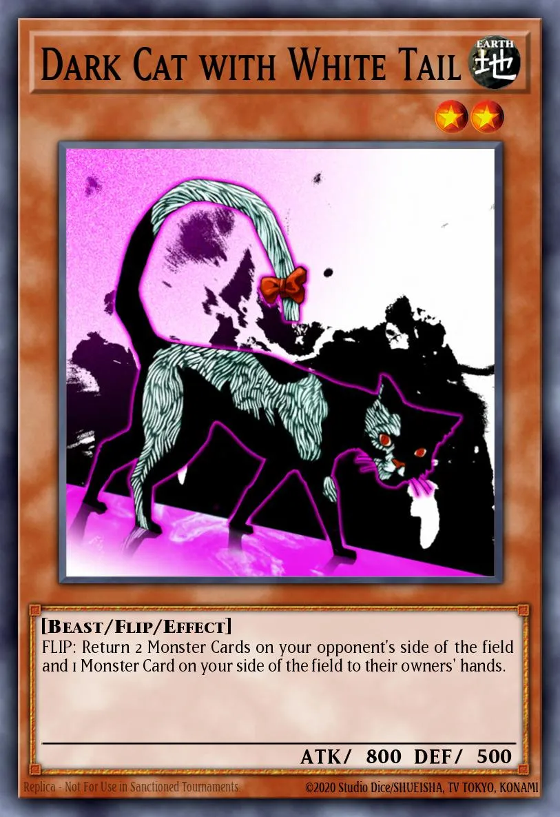 Dark Cat with White Tail · Magician's Force 8634636/108